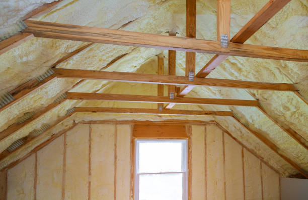 Best Eco-Friendly Insulation in Malden, MO