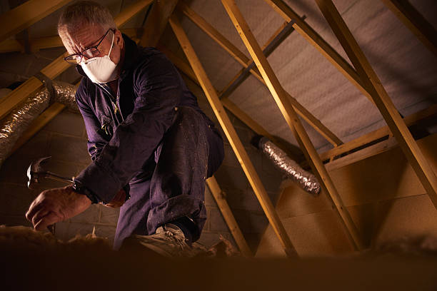 Best Spray Foam Insulation in Malden, MO